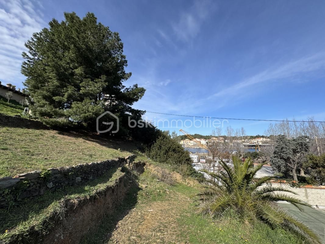 6.jpg-cote_littoral_464291
