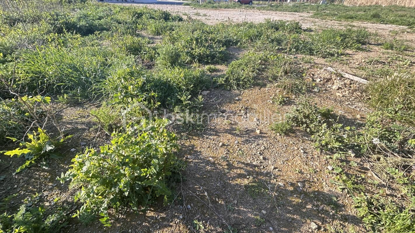 3.jpg-cote_littoral_464291