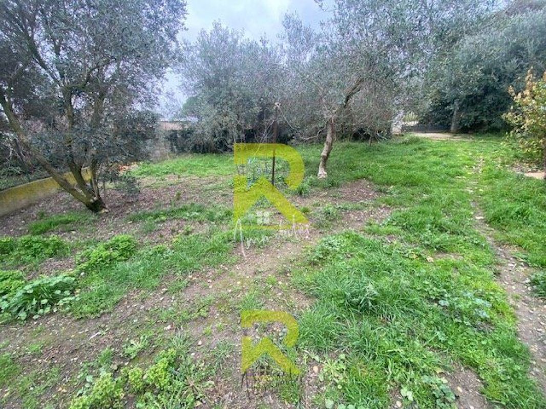 2.jpg-cote_littoral_464291