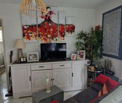 A vendre APPARTEMENT T2 40 M2 TERRASSE PLAGE à PIED LE CAP D AGDE