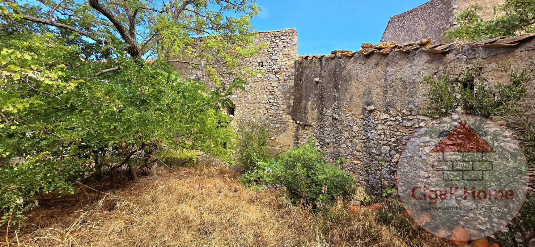 1.jpg-cote_littoral_464291