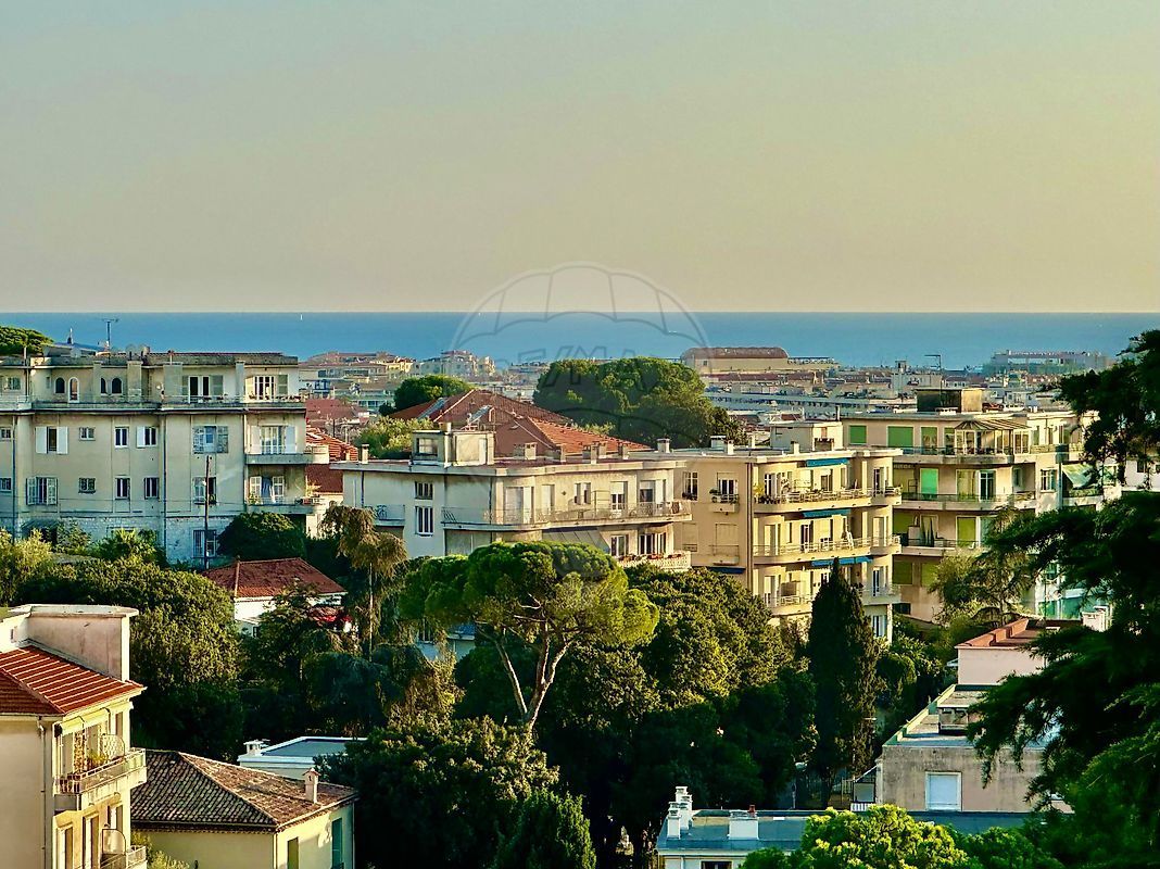 1.jpg-cote_littoral_464291