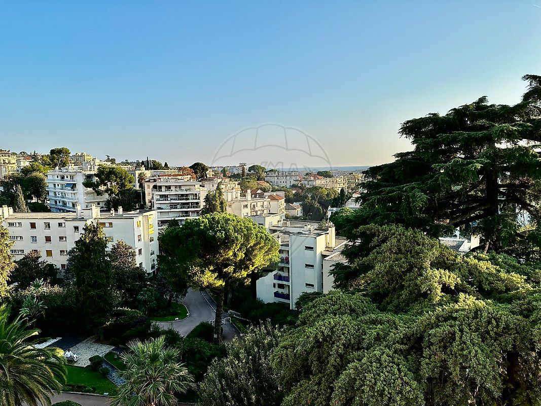 2.jpg-cote_littoral_464291