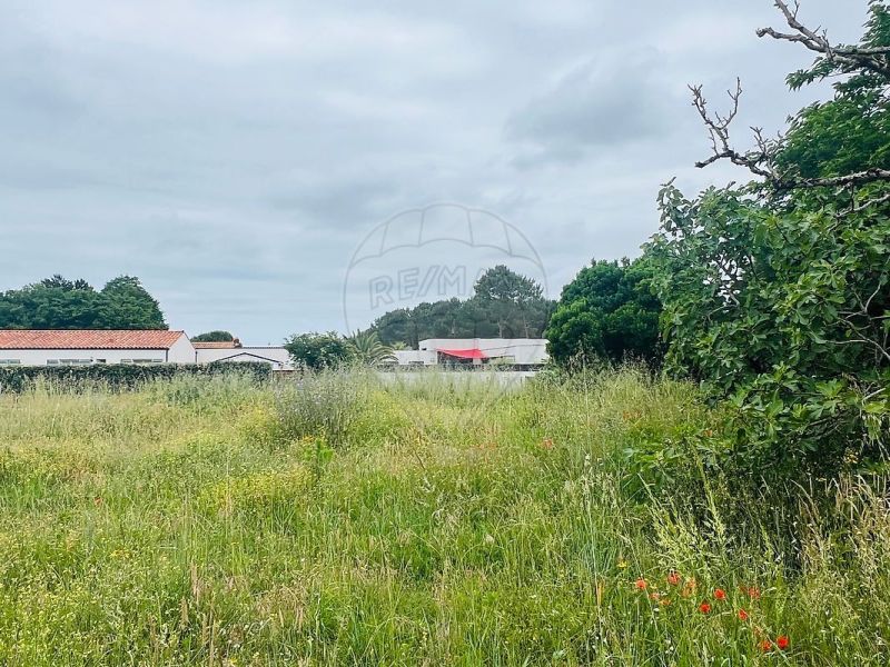 A louer MAISON  CONTEMPORAINE BORD DE MER LES MATHES