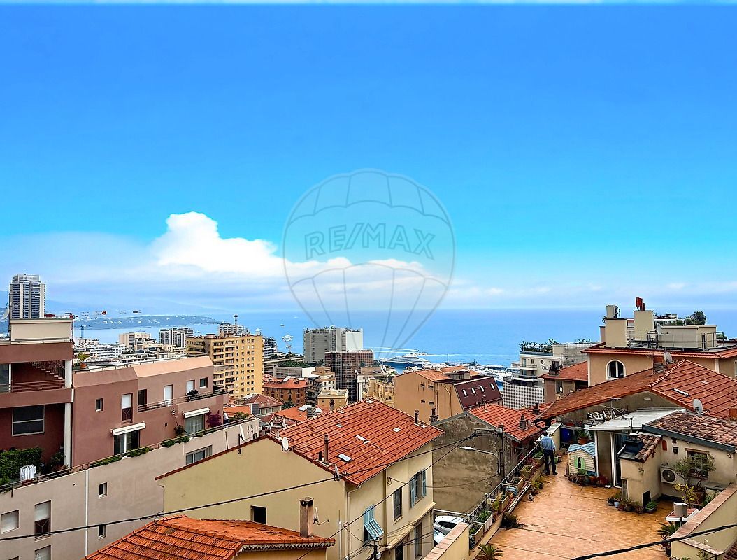 1.jpg-cote_littoral_464291