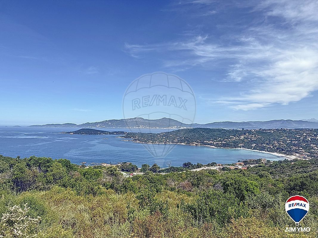 2.jpg-cote_littoral_464291