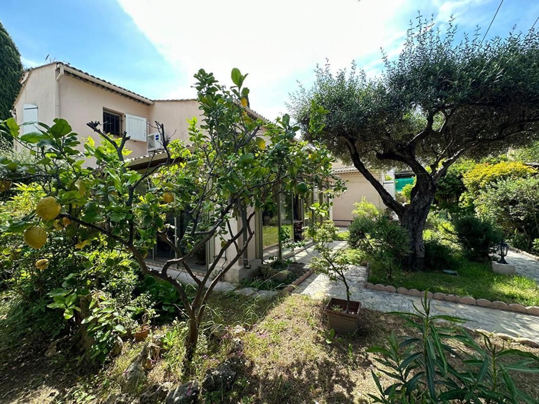 4.jpg-cote_littoral_464291