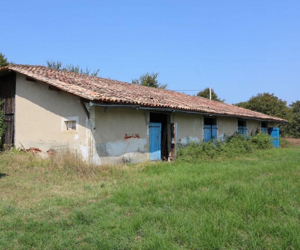 2.jpg-cote_littoral_464291