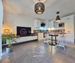 A louer APPARTEMENT T3 59 M2 TERRASSE  CASTELNAU LE LEZ