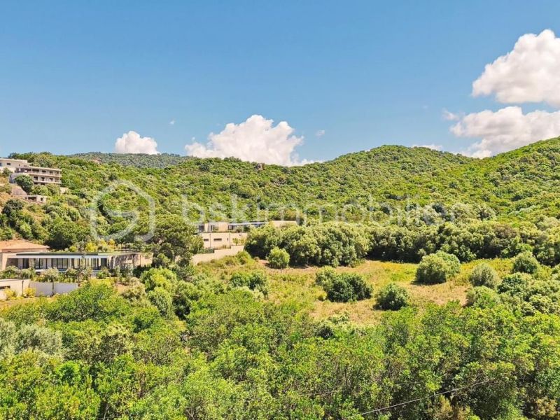 A louer APPARTEMENT DE PRESTIGE NEUF T3 71 M2 BORD DE MER PIETROSELLA