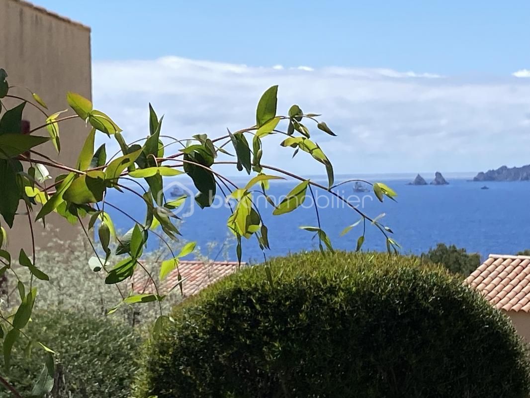 2.jpg-cote_littoral_464291