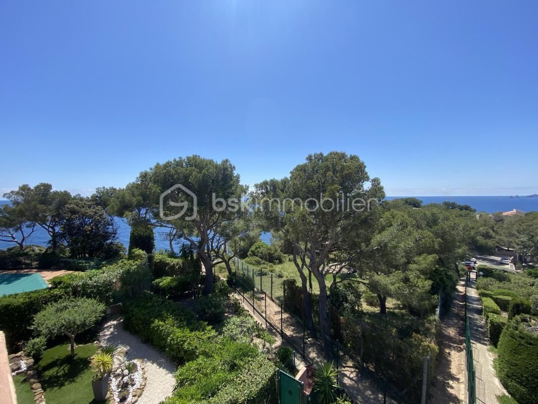 3.jpg-cote_littoral_464291