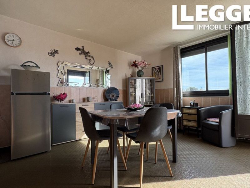 A louer APPARTEMENT T2 37 M2 TERRASSE BORD DE MER LE BARCARES