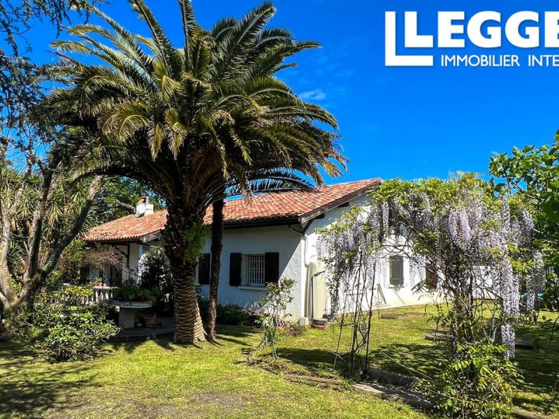 A louer MAISON  DE MAîTRE  SAINT JEAN DE LUZ