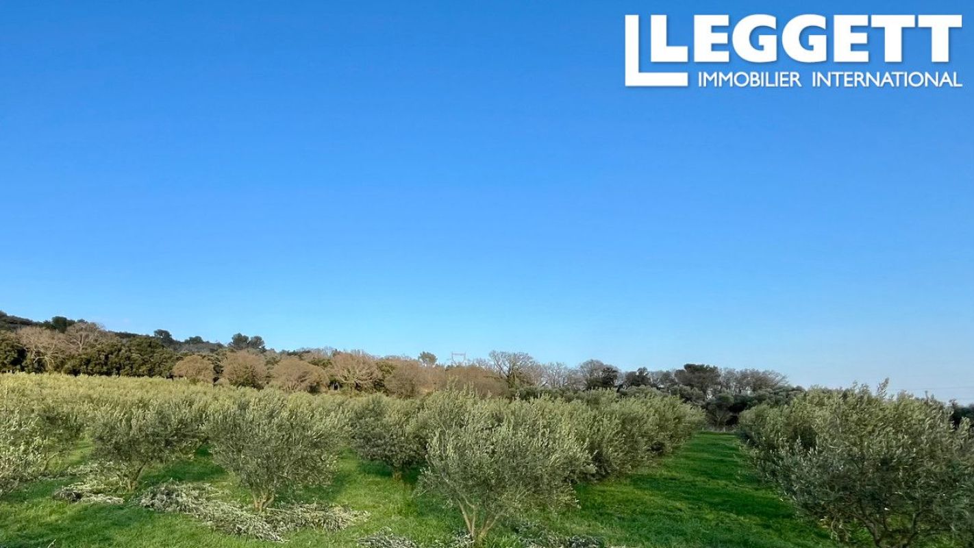 5.jpg-cote_littoral_464291