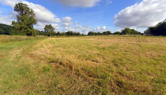 A vendre Terrain CONSTRUCTIBLE ET VIABILISE MEURSAC