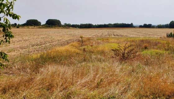 A vendre Terrain CONSTRUCTIBLE 738 m² MESCHERS SUR GIRONDE