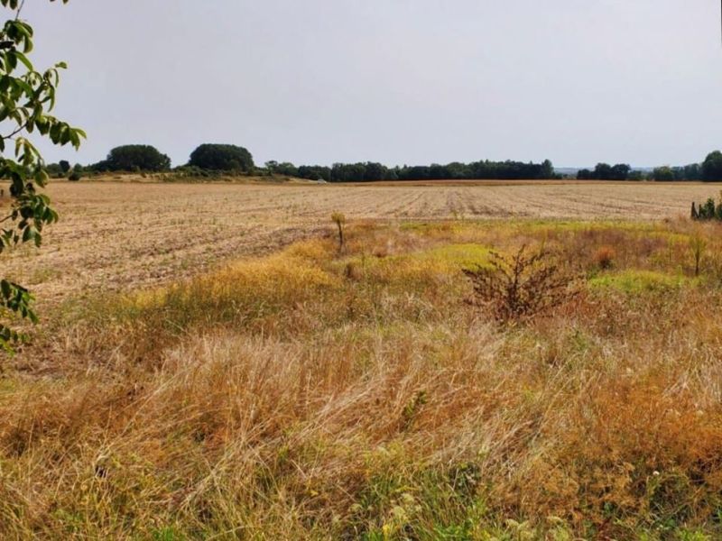 A vendre Terrain CONSTRUCTIBLE 738 m² MESCHERS SUR GIRONDE