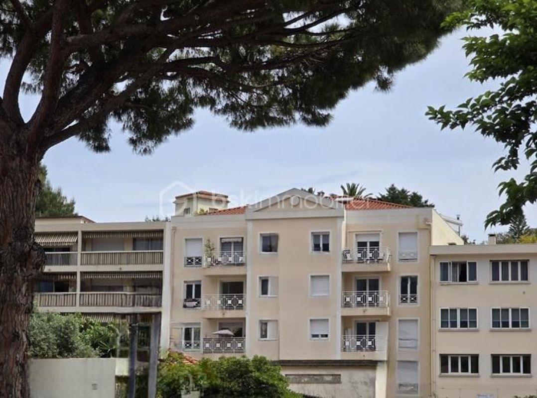 1.jpg-cote_littoral_464291