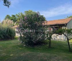 A louer GîTE  COUTRAS