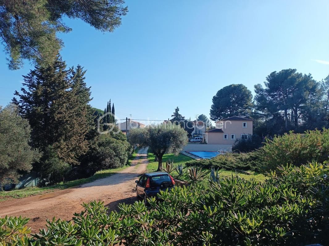 2.jpg-cote_littoral_464291
