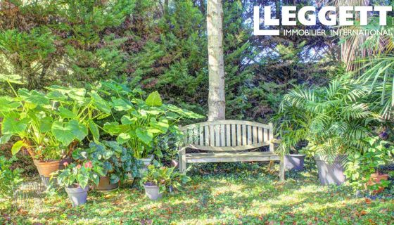 A louer MAISON  12 PIECES 315 M2  SALIES DE BEARN