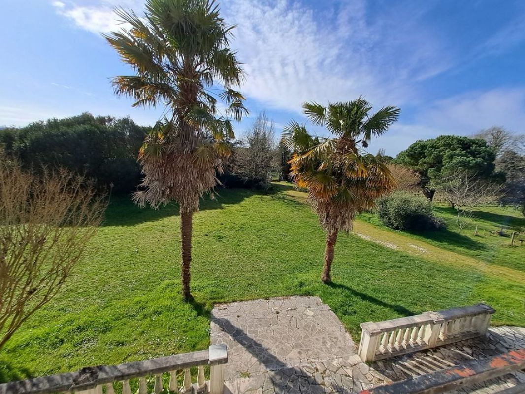 2.jpg-cote_littoral_464291