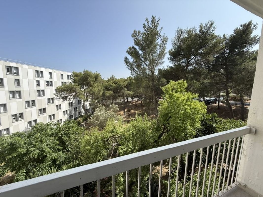 1.jpg-cote_littoral_464291