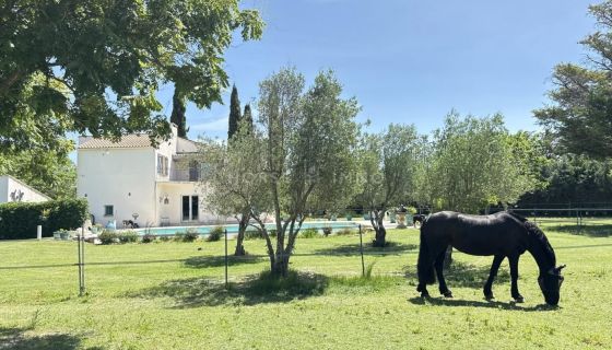 A louer MAISON  7 PIECES 220 M2  BEAUCAIRE