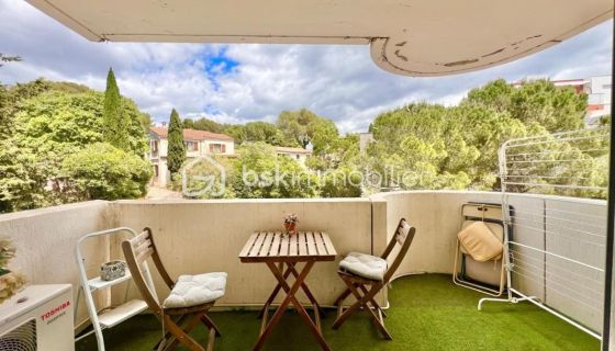 A louer APPARTEMENT T3 75 M2  MONTPELLIER