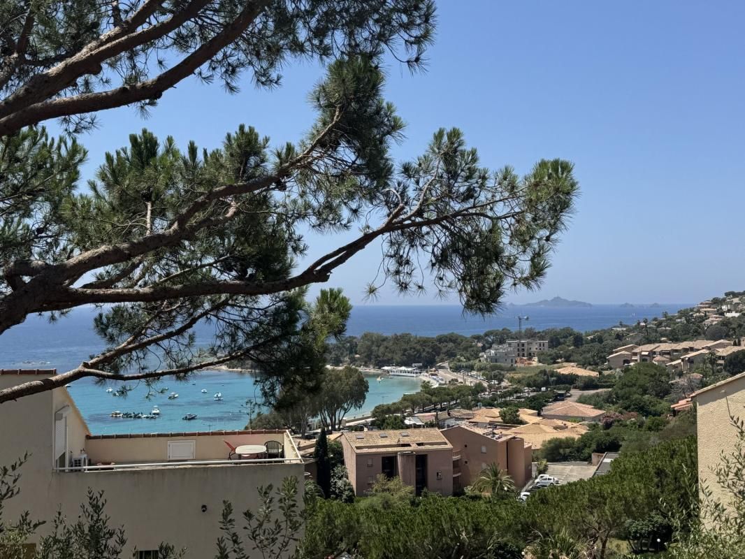 1.jpg-cote_littoral_464291