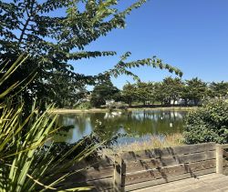 A vendre MAISON  4 PIECES 92 M2 BORD DE MER SAINT GILLES CROIX DE VIE