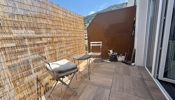 A vendre STUDIO  25 M2 TERRASSE BORD DE MER NICE