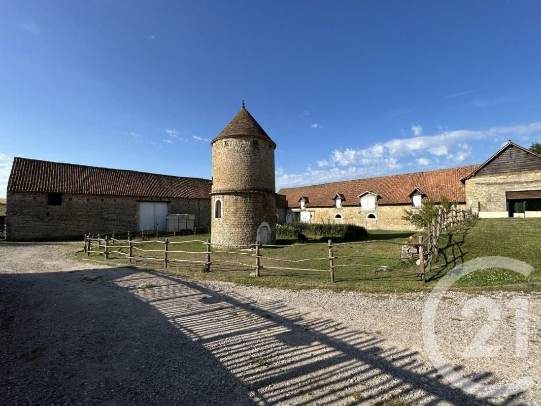 5.jpg-cote_littoral_464291
