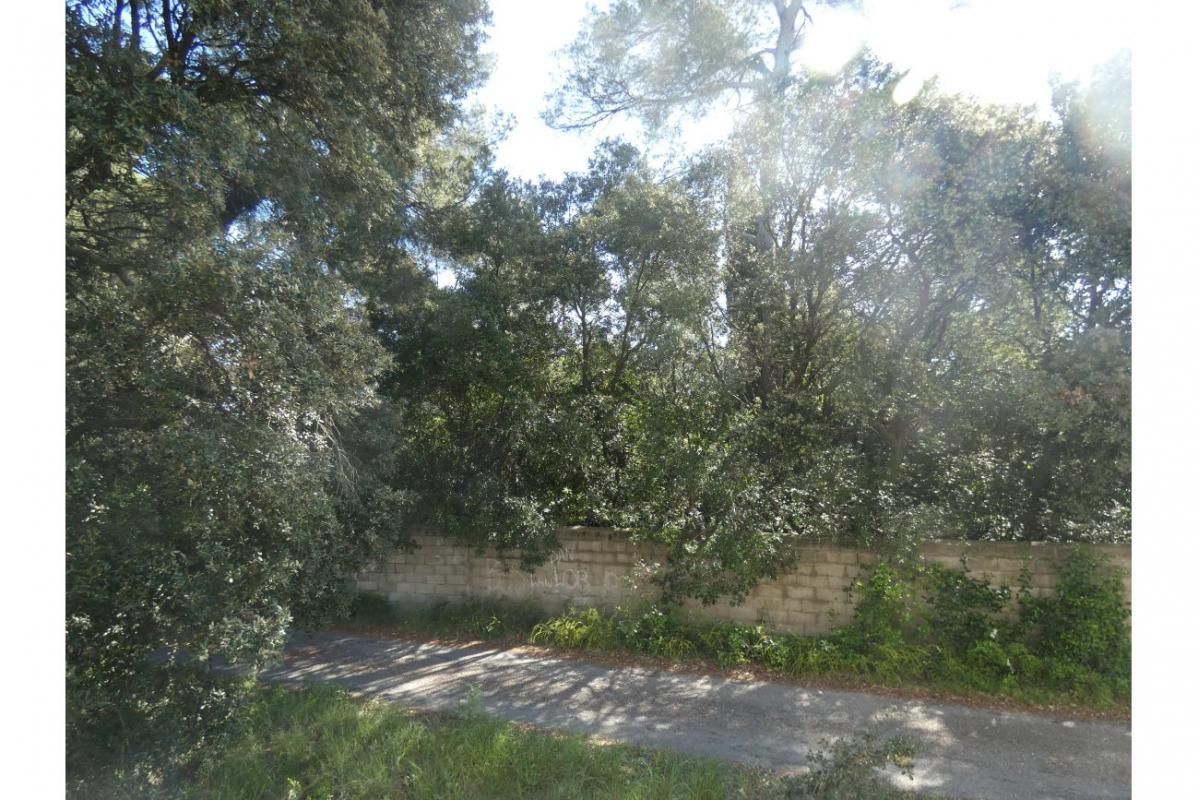 5.jpg-cote_littoral_464291