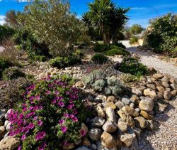 A louer MAISON  D'ARCHITECTE BORD DE MER LA PALME