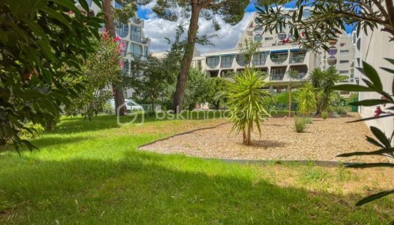 A louer APPARTEMENT T2 31 M2 BORD DE MER LA GRANDE MOTTE