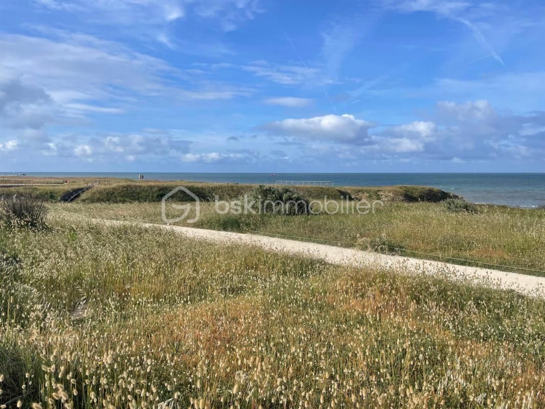 1.jpg-cote_littoral_464291