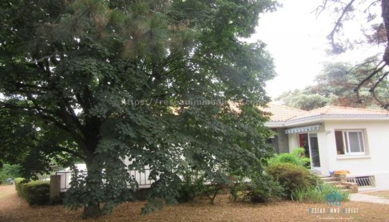 A louer APPARTEMENT NEUF T6 276 M2 TERRASSE  LA RABATELIERE