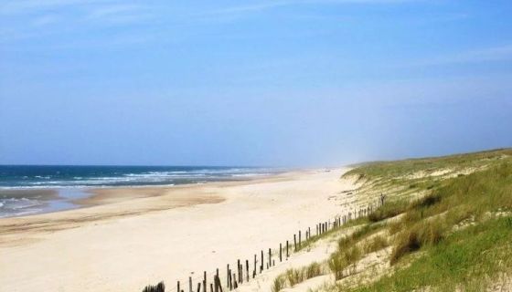 A louer APPARTEMENT T2 25 M2 PLAGE à PIED MIMIZAN