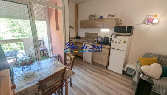 A louer STUDIO  22 M2 TERRASSE  VERNET LES BAINS