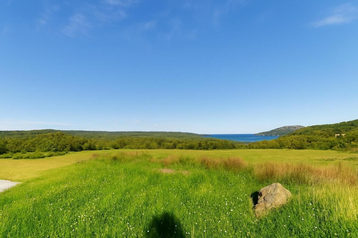 3.jpg-cote_littoral_464291