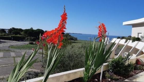 A louer APPARTEMENT T2 35 M2 TERRASSE VUE MER LA ROCHELLE