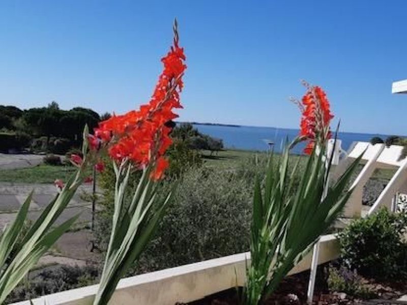 A louer APPARTEMENT T2 35 M2 TERRASSE VUE MER LA ROCHELLE