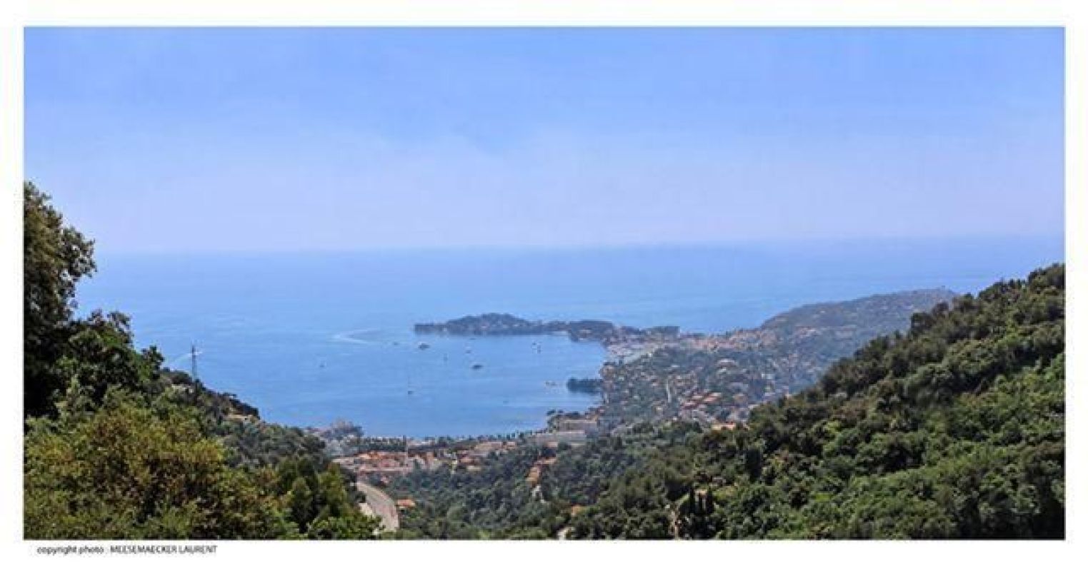 1.jpg-cote_littoral_464291