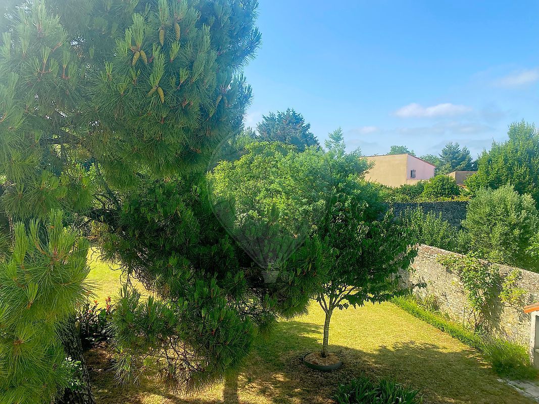 6.jpg-cote_littoral_464291
