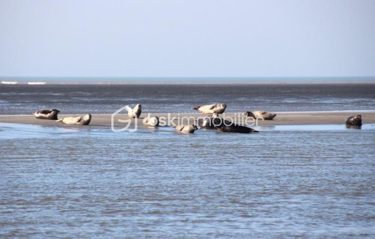 4.jpg-cote_littoral_464291