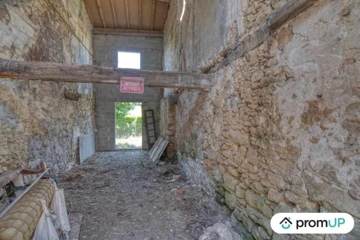 5.jpg-cote_littoral_464291