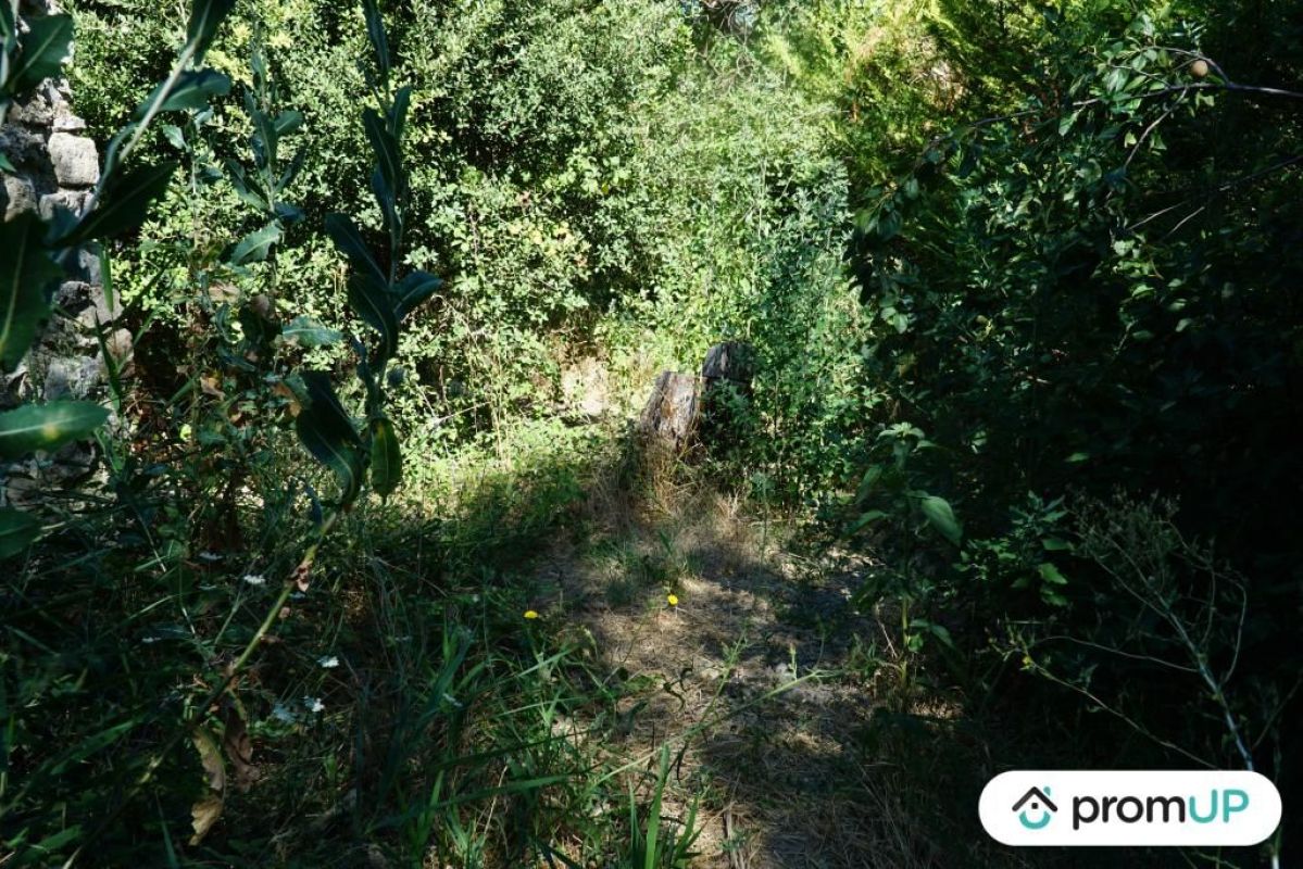 6.jpg-cote_littoral_464291