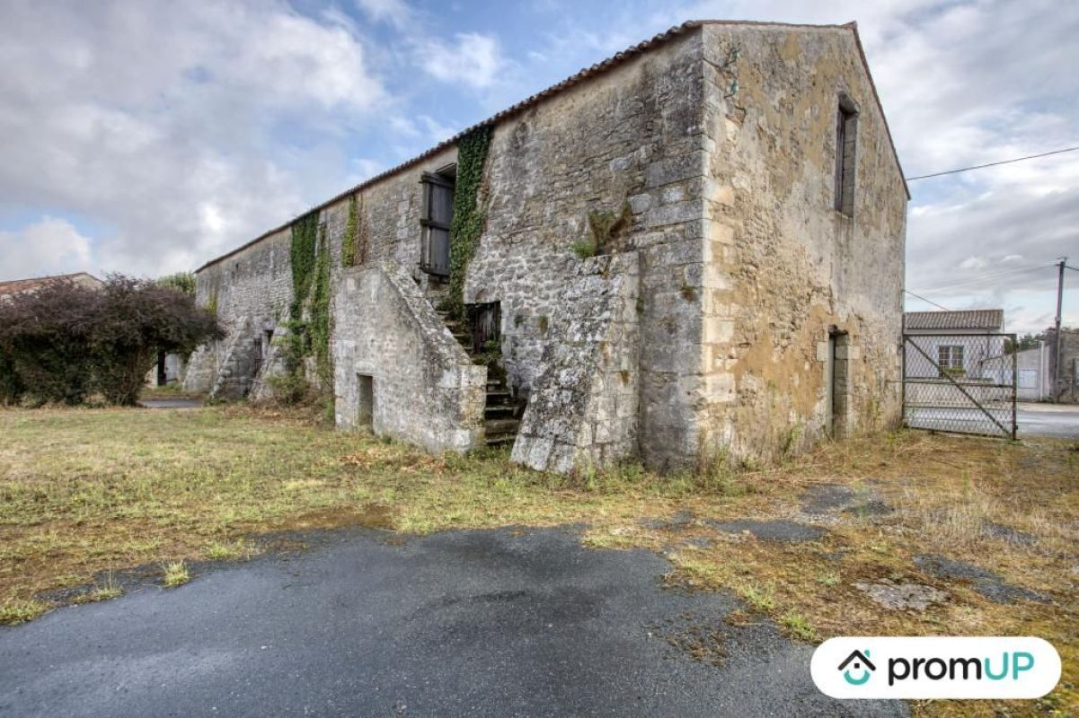 6.jpg-cote_littoral_464291